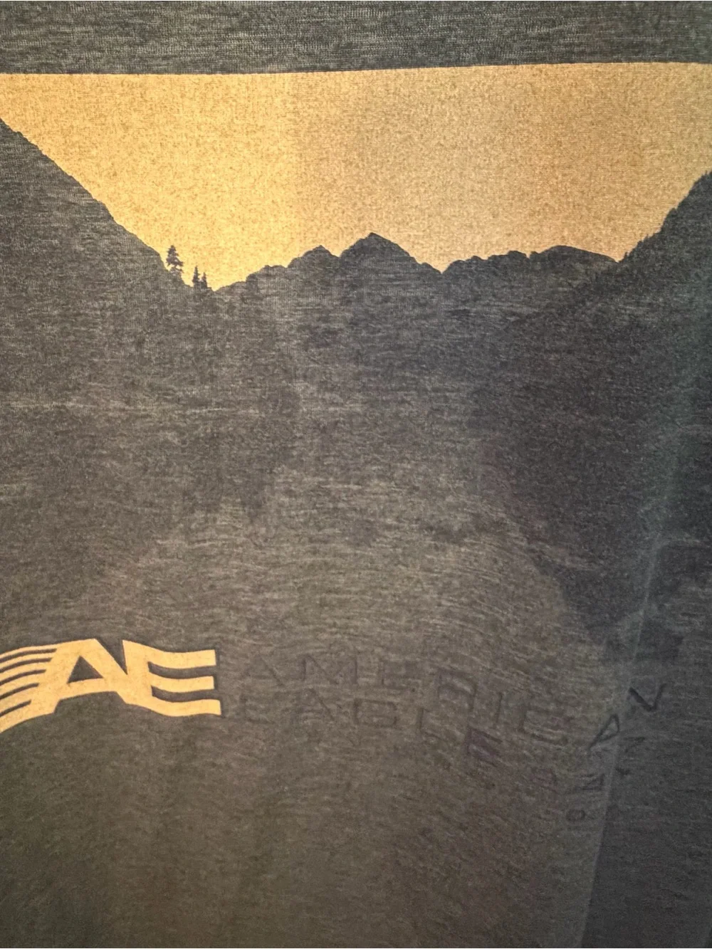 American Eagle Active Flex Graphic Performance Tee | Mens Medium